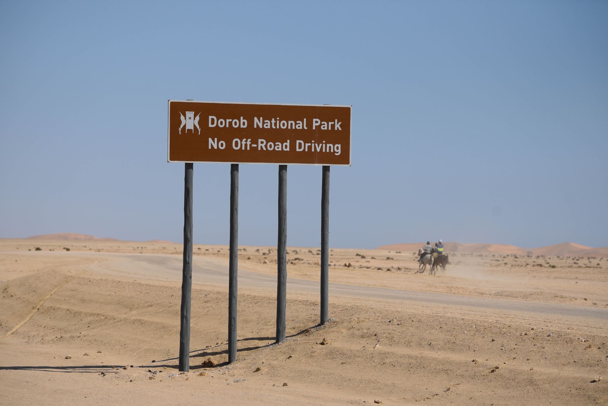 Highlights (199 of 231)_resized.jpg